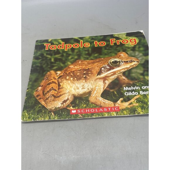 lot of 6 kids books 4 chapter 2 younger varied ages mystery frogs READ - Picture 7 of 7